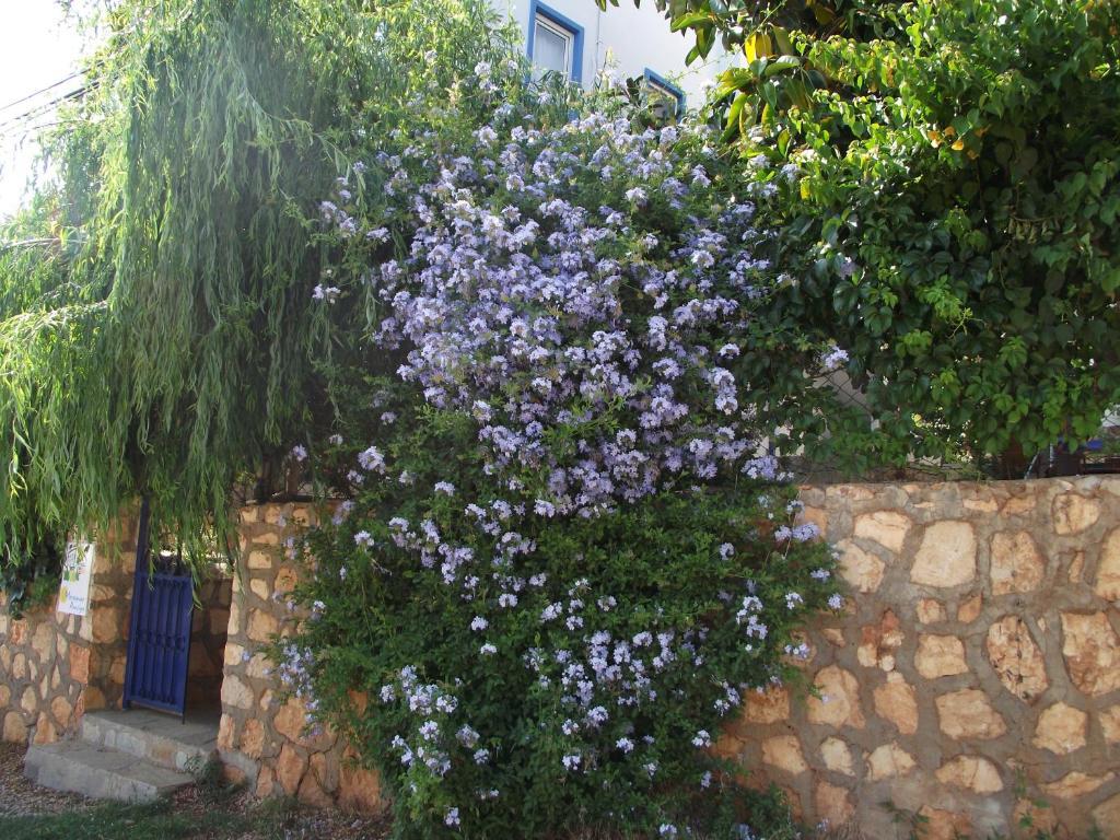 Miramar Pansiyon Kaş Kültér fotó